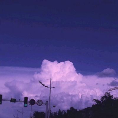 一品大臣9665破解版下载